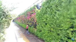 عکس پارک گلدشت حافظ، شهرک حافظ، شیراز 2