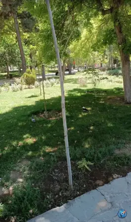 عکس پارک شهید بهشتی «سه باندی» کوی اتحاد کرج 3