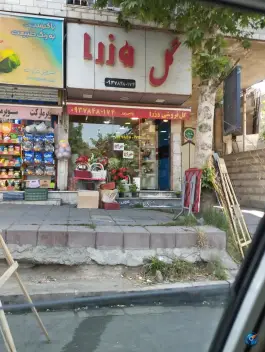 عکس های گلفروشی وزرا، شهرک جهازی ها، کرج