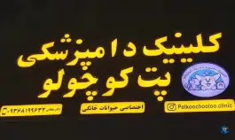 کلینیک دامپزشکی پت کوچولو، جابر انصاری، اصفهان