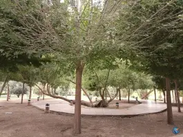 عکس پارک آبشار سوم، محله همت آباد، اصفهان 1