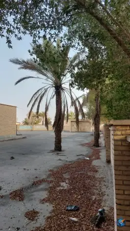 عکس دبیرستان باقرالعلوم قلعه گنج 4