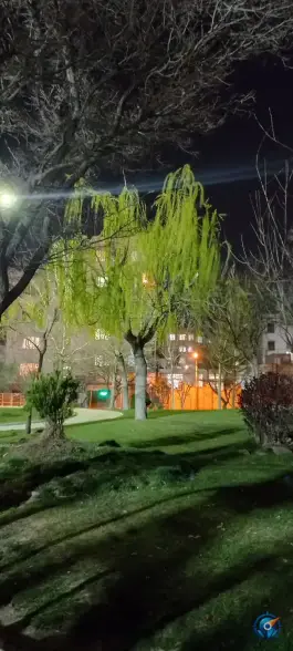 عکس پارک پامچال شاهین ویلا کرج 3