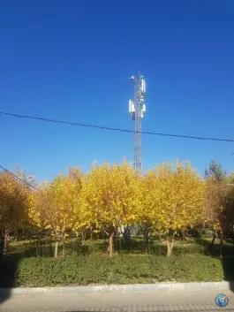 عکس پارک پامچال شاهین ویلا کرج 6
