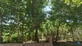عکس استراحتگاه دره ارغوان، بخش طرقبه، مشهد 7