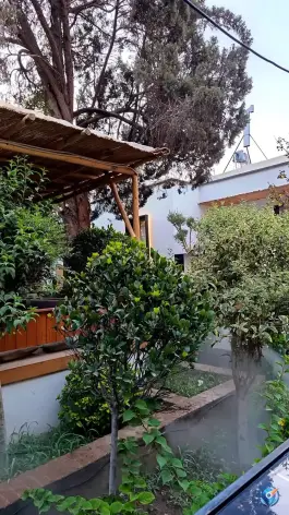 عکس کافه رستوران نوآ یاس یزد 3