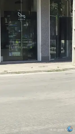 کافه آماتا کمربندی عجب شیر