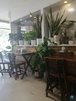 عکس شله پلنگی، بلوار پیروزی، مشهد 10