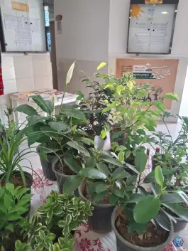 فرهنگسرای جوان، سفیر جنوبی، شیراز