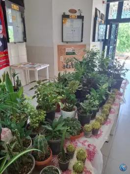 عکس فرهنگسرای جوان، سفیر جنوبی، شیراز 2