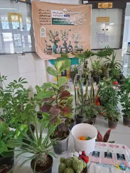 عکس فرهنگسرای جوان، سفیر جنوبی، شیراز 3