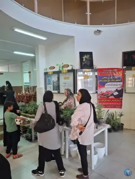عکس فرهنگسرای جوان، سفیر جنوبی، شیراز 5