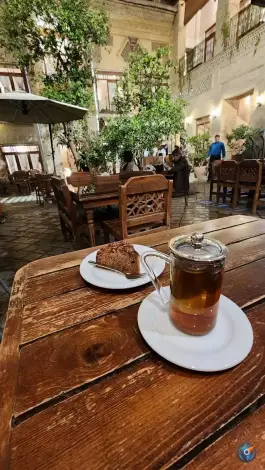 عکس عمارت گلبهاری شیراز 10