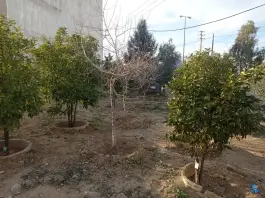 عکس های پارک محلی امیر، شهرک گلستان، شیراز