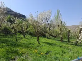 عکس اردوگاه آموزشی تربیتی مفتاح حوزه علمیه، بلوار امام رضا، مشهد 6