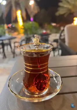 عکس جیگر گوشه، خانه گستر، کیش 2