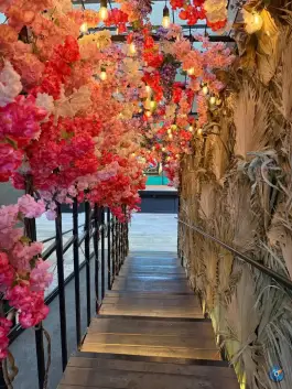 عکس اوبسو شف ایوانک تهران 3