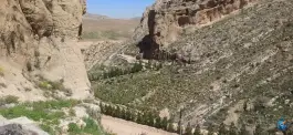 عکس پارک بام سبز شیراز، جوادالائمه، شیراز 9