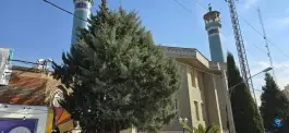 عکس مسجد امام سجاد (ع) بهاران شیراز 7