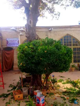 عکس مسجد سیاوشان، محله سنگ سیاه، شیراز 2