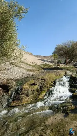 عکس چشمه و استخر دشتک، روستای دشتک، قاضی 2