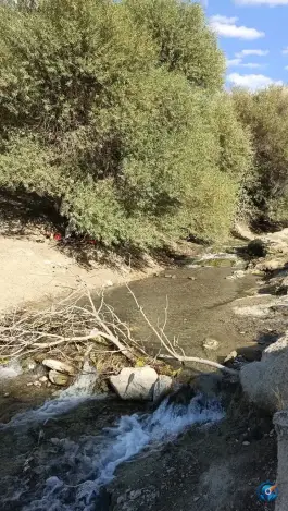 عکس چشمه و استخر دشتک، روستای دشتک، قاضی 4