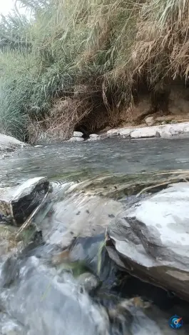 عکس چشمه و استخر دشتک، روستای دشتک، قاضی 5