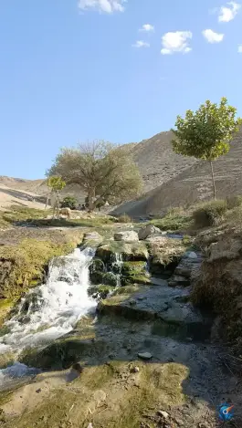 عکس چشمه و استخر دشتک، روستای دشتک، قاضی 6