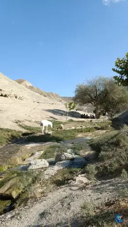 عکس چشمه و استخر دشتک، روستای دشتک، قاضی 9