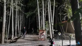 عکس عمارت چهار باغ باغ بهادران لنجان 7