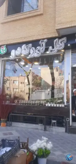 عکس گل آووکادو سعادت آباد اصفهان 1