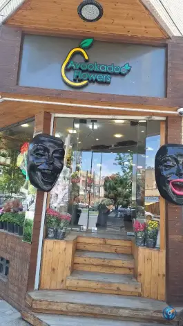 عکس گل آووکادو سعادت آباد اصفهان 2