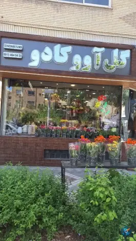 عکس گل آووکادو سعادت آباد اصفهان 3