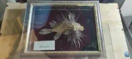 عکس عمارت طاهری «موزه مردم شناسی بوشهر» بافت قدیم بوشهر 3