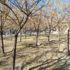 عکس بوستان کوثر بهاران کرج 3