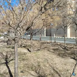 عکس بوستان کوثر بهاران کرج 5