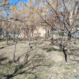 عکس بوستان کوثر بهاران کرج 9
