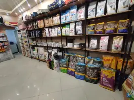 عکس های کلینیک دامپزشکی شبانه روزی تاینی پت عظیمیه کرج