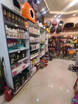 عکس کلینیک دامپزشکی شبانه روزی تاینی پت عظیمیه کرج 2