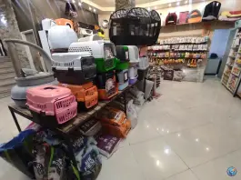 عکس کلینیک دامپزشکی شبانه روزی تاینی پت عظیمیه کرج 3