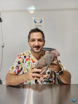 عکس کلینیک دامپزشکی تخصصی پرندگان و طیور دکتر موسوی نسب، قصردشت، شیراز 4