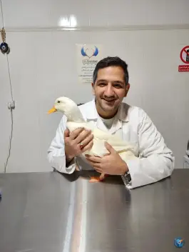 عکس کلینیک دامپزشکی تخصصی پرندگان و طیور دکتر موسوی نسب، قصردشت، شیراز 9