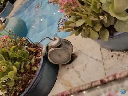 عکس خانه 1307، خیابان سمیه، تهران 10