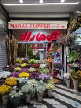 گل فروشی مارال مدرس شیراز