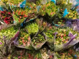 عکس گل فروشی مارال مدرس شیراز 5