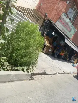 عکس میوه فروشی مهرشهر کرج 2