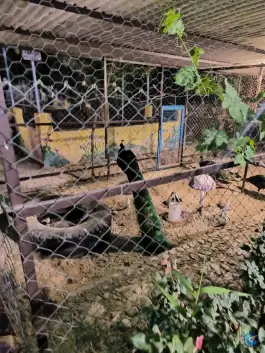 عکس عمارت ارم شادکام، جاده نوروزی، قوچان 3