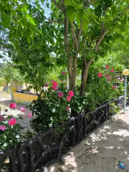 عکس عمارت ارم شادکام، جاده نوروزی، قوچان 8