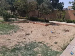 عکس بوستان خانواده سرداران، محله سرداران، شیراز 9