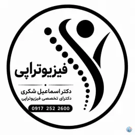فیزیوتراپی دکتر اسماعیل شکری، بلوار دکتر شریعتی، شیراز
